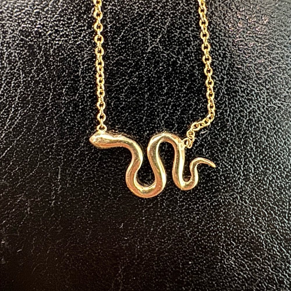Ariel Gordon Dainty Solid Gold Snake Necklace - Picture 4 of 5
